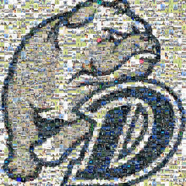 Drake Bulldogs photo mosaic