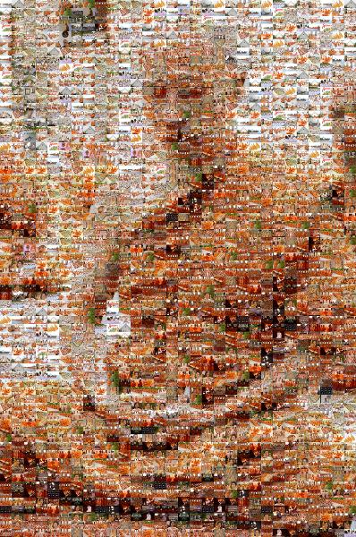 Nardith photo mosaic