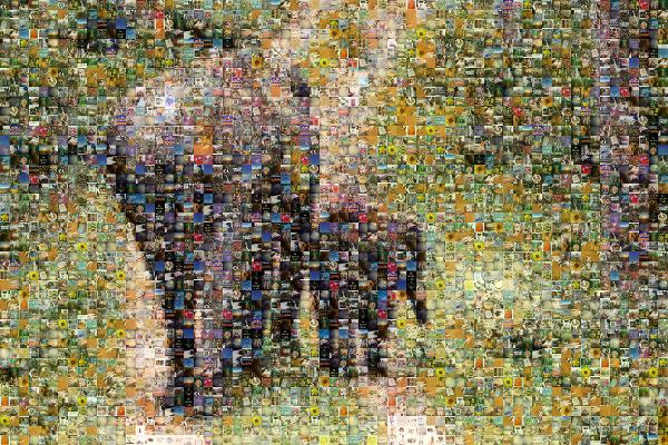 Elephants photo mosaic