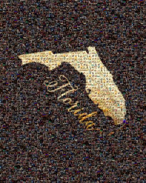 Florida photo mosaic