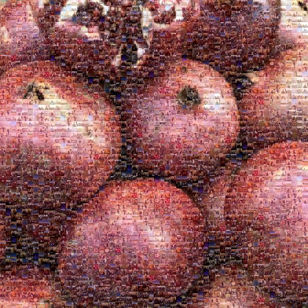 Pomegranates photo mosaic