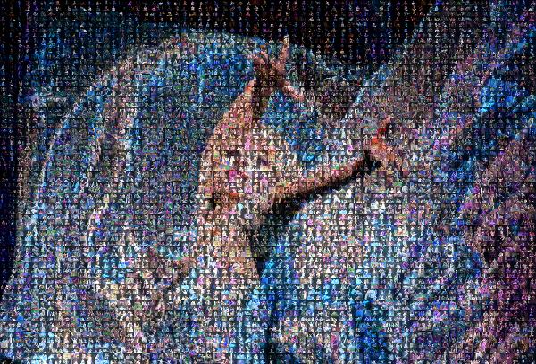 Desktop Wallpaper photo mosaic