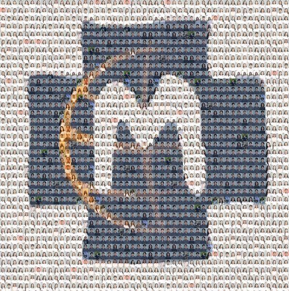 Marist College photo mosaic