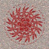 Logo alumni logos graphics flowers symbols icons shapes text words letters