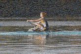 rowing crew sports athletes person woman sports water boats 