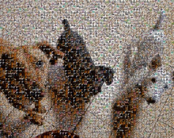 Dogs photo mosaic