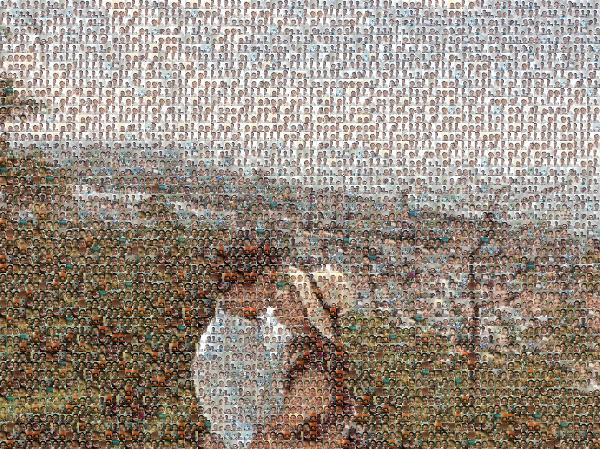 Love photo mosaic