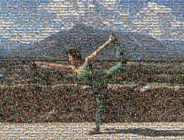 Yoga Pose photo mosaic