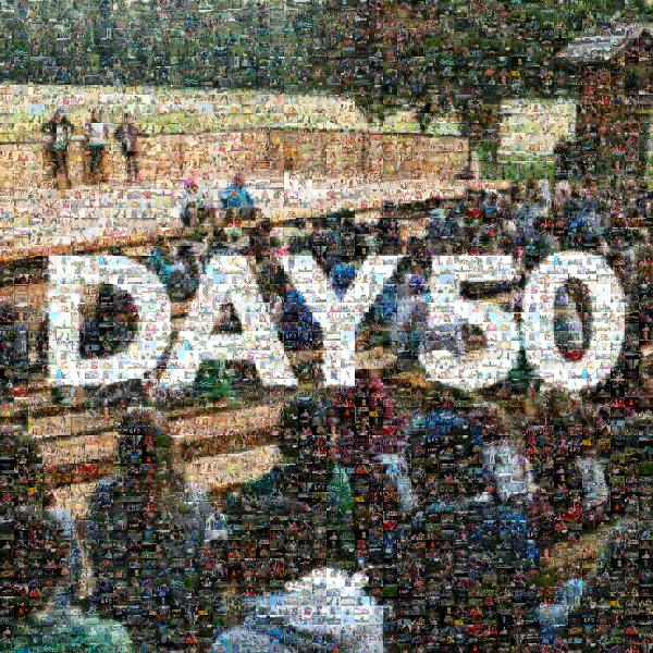 Day 50 photo mosaic