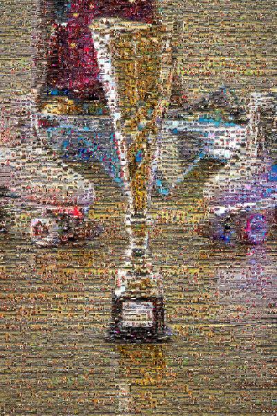 Skating Trophy photo mosaic