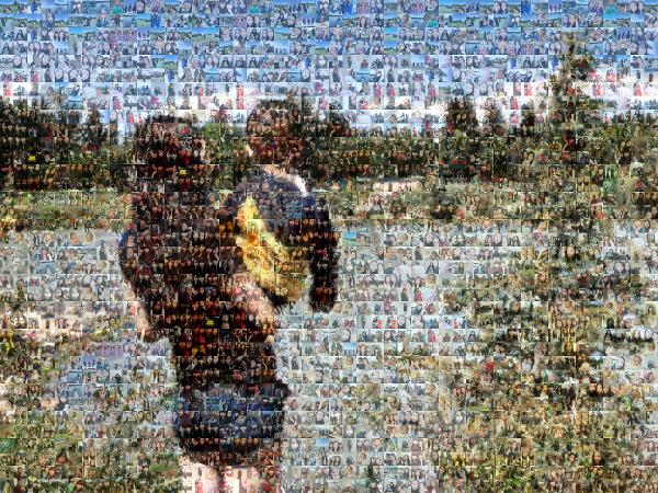 A Trip to the Lake photo mosaic