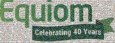 Equiom Anniversary Logo logos text words letters graphics names corporate business