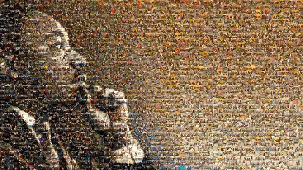 Martin Luther King Jr photo mosaic
