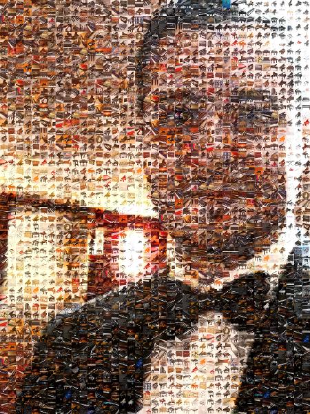 Dressed to the Nines photo mosaic