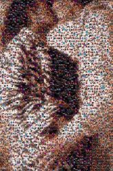 Kiss kissing couples love portraits faces people man woman