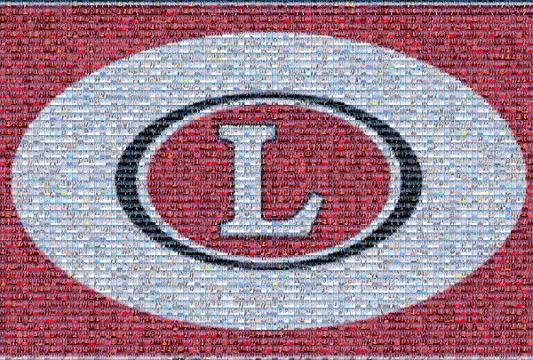 Loganville photo mosaic