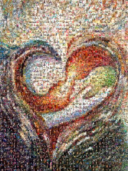Abstract Heart photo mosaic
