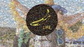 Banana Life bananas symbols icons graphics shapes circles words text letters logos
