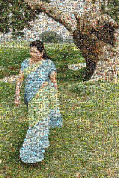 A Walk in the Park photo mosaic