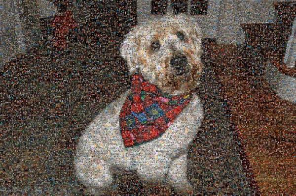 Yule Tide Pup photo mosaic