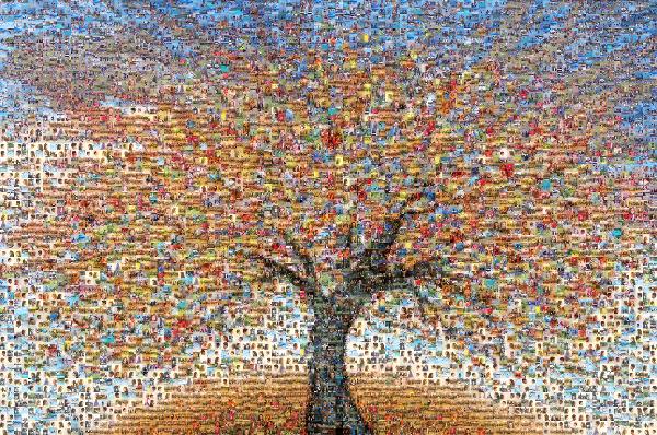 Illustrated Tree photo mosaic