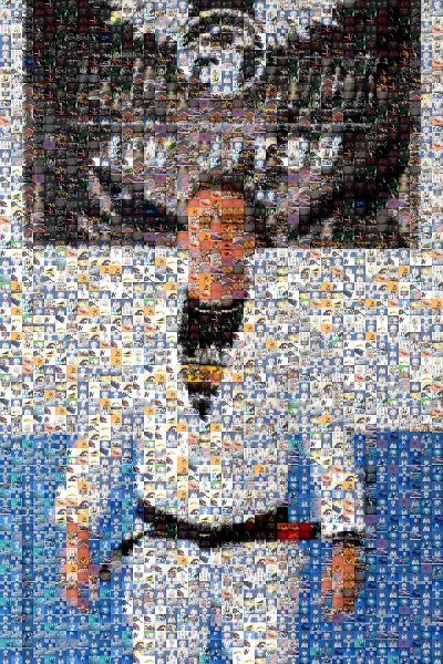 Jiu Jitsu Master photo mosaic