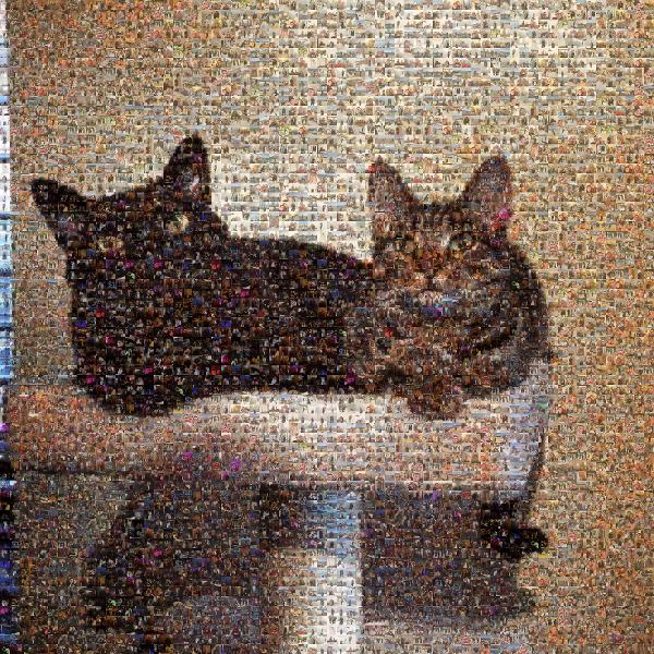 Furry Friends photo mosaic