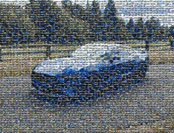 Shelby Mustang photo mosaic