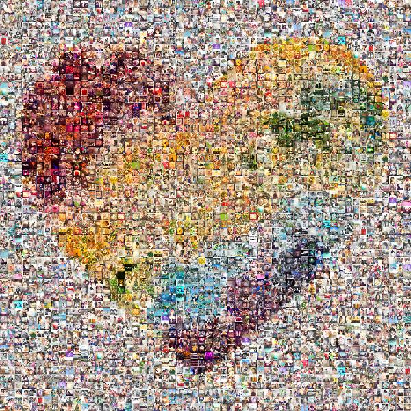 Watercolor Heart photo mosaic