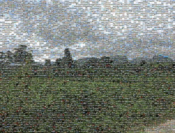 Feriendomezil Spieß photo mosaic