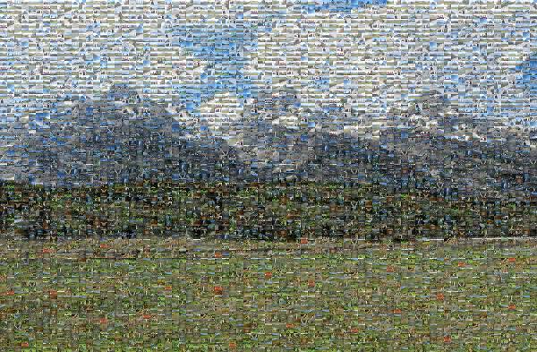 Grand Teton National Park photo mosaic