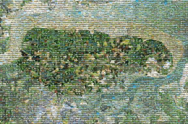 Water resources photo mosaic