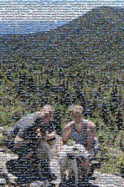 Hiking photo mosaic