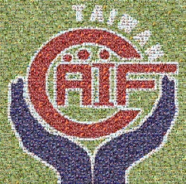AIF photo mosaic