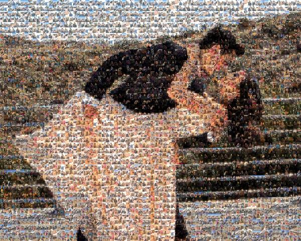 Lovely Couple photo mosaic