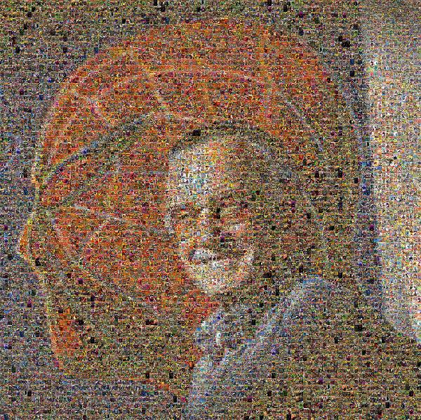 Stan Lee photo mosaic
