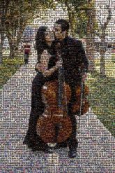 Violone Violin Double bass Cello Tololoche Fiddle Viola