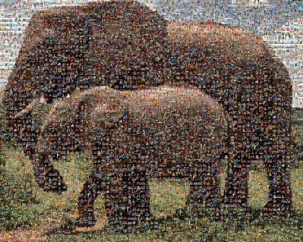 Elephant photo mosaic