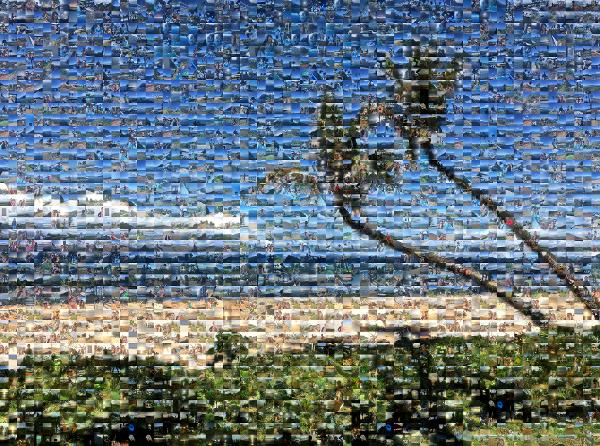 Palm trees photo mosaic
