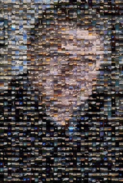 Chin photo mosaic
