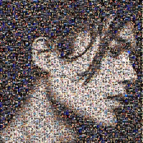 Goro Inagaki photo mosaic