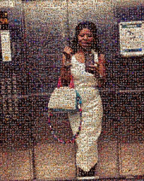 Elevator Selfie photo mosaic