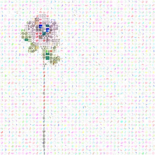 Flower photo mosaic
