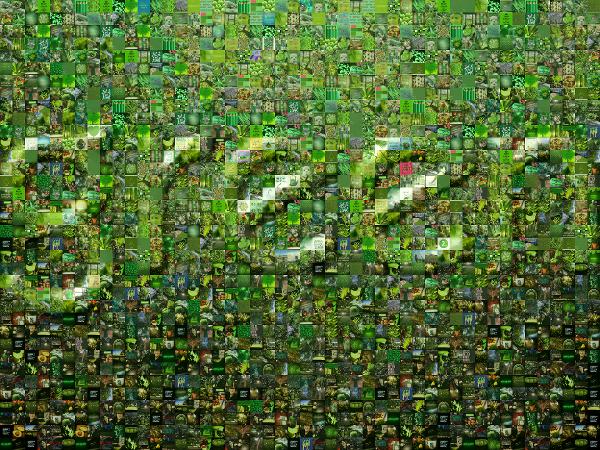 Green photo mosaic