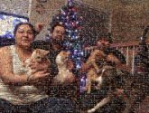 Family family people groups pets animals dogs faces distance distant