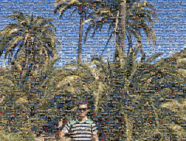 Babassu photo mosaic