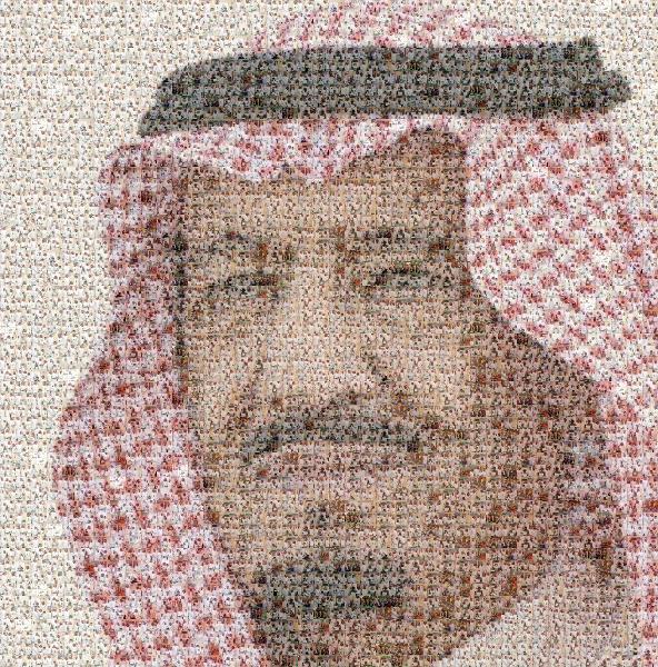 Salman of Saudi Arabia photo mosaic