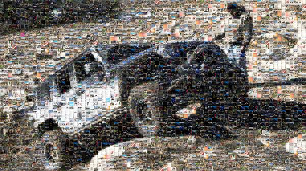Jeep Wrangler photo mosaic