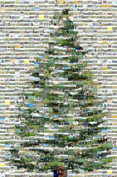 Christmas tree photo mosaic