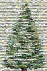Christmas tree Christmas Day Love Com Manga Christmas tree Christmas card christmas decoration spruce christmas ornament pine family fir conifer evergreen